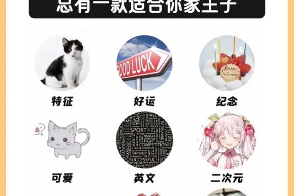 探索适合小猫的名字灵感