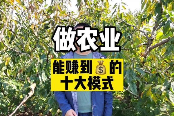 农业公司创意名称推荐与灵感指南