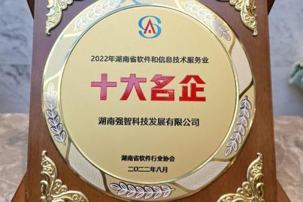 给你的技术公司起个名字，提升市场竞争力