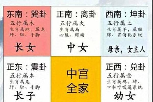 面相算命图解：揭示你未来运势的秘密