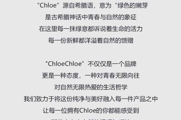 提升企业形象的公司名字推荐与创意灵感