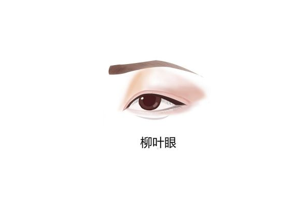 眼角下垂面相的含义与调理方法解析