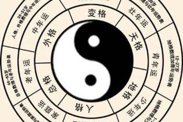 如何通过名字解读个人命运与性格
