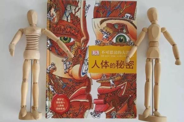 名字符号的奥秘：如何影响个体与社会认知