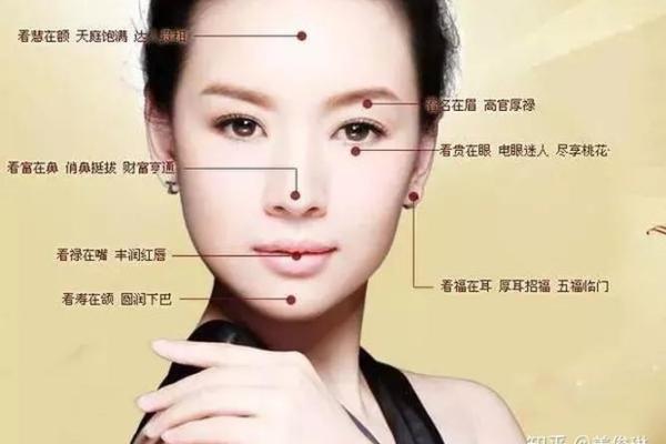 面相分析指南：五官结构与命运之间的微妙关系