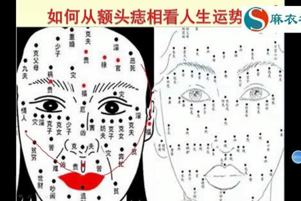从女人身上的痣相看未来运程