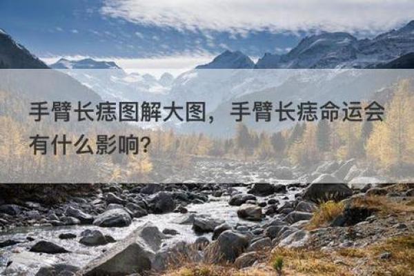胳膊痣相的文化解读：它如何影响你的生活