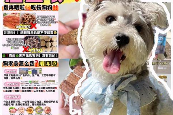 为狗狗取名字时常见的误区和避坑指南