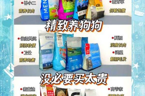 为狗狗取名字时常见的误区和避坑指南