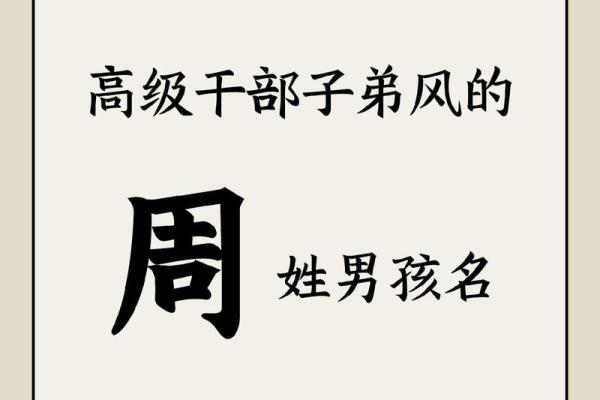 探索周姓宝宝名字的文化意义与选择方法