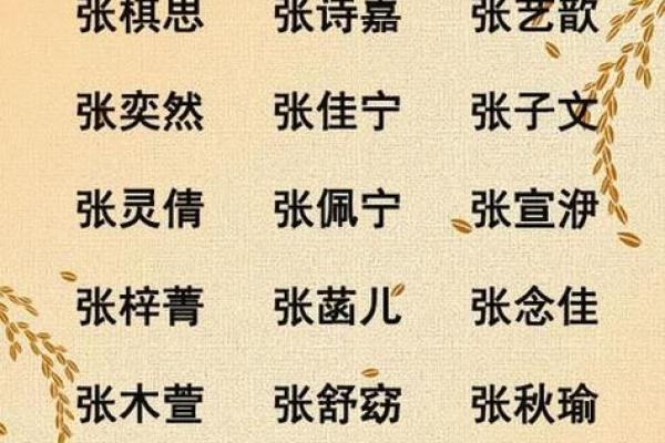 如何为张姓宝宝取个有意义的名字：专家教你避开常见误区