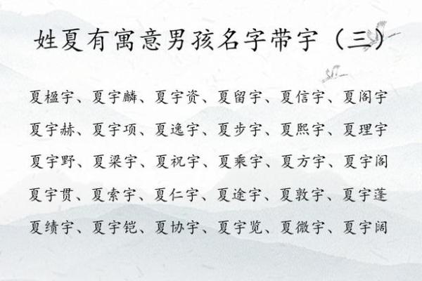 如何为男孩挑选一个有意义的名字