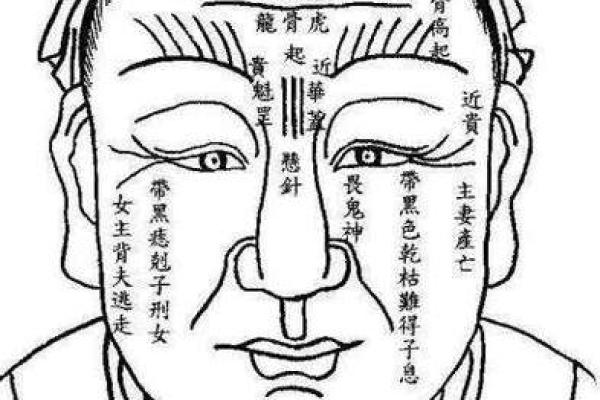 鲤鱼嘴面相解析：如何通过面相判断性格与命运