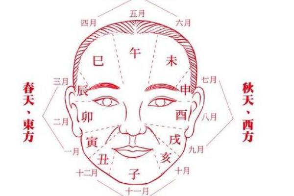 面相分析：如何通过五官解读个人命运