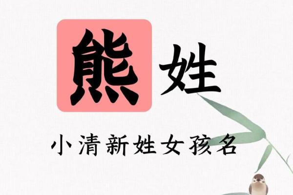 探索熊姓起名的文化与艺术