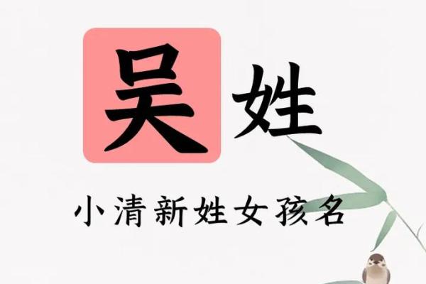 为吴姓女宝宝挑选合适名字的技巧