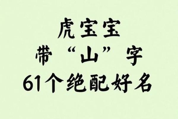 霸气名字的魅力：从历史到现代的演变