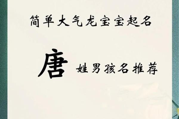 为男孩取名：充满魅力的优雅名字推荐