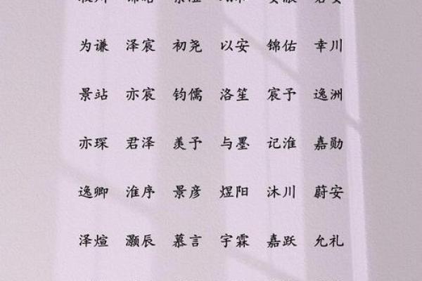 为男孩取名：充满魅力的优雅名字推荐