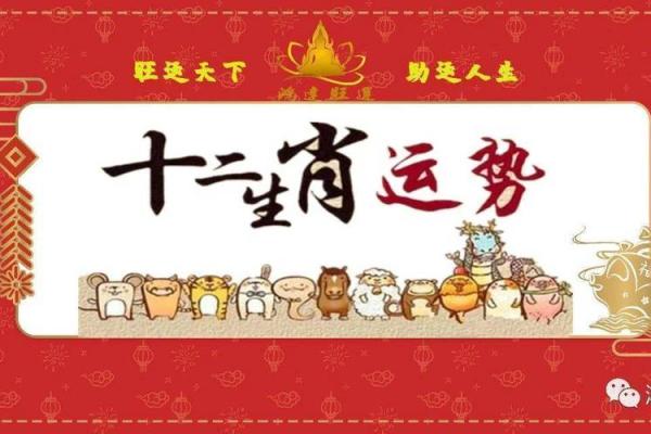 兔年家居风水阵布置与生肖运势的关系