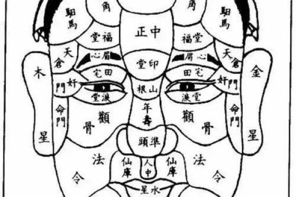 无下巴面相解析：如何影响个人命运与性格特征