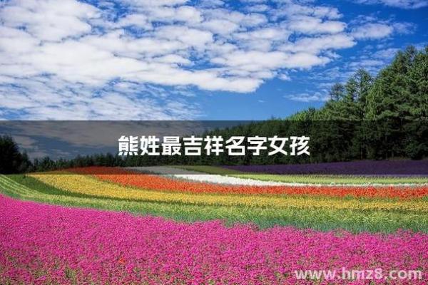 熊姓宝宝起名指南：如何为熊姓宝宝挑选一个独特有寓意的名字