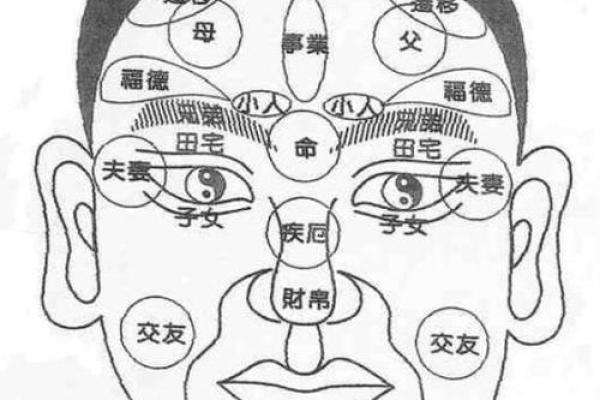面相图片解析：从面部特征看你的人生运势与性格特征
