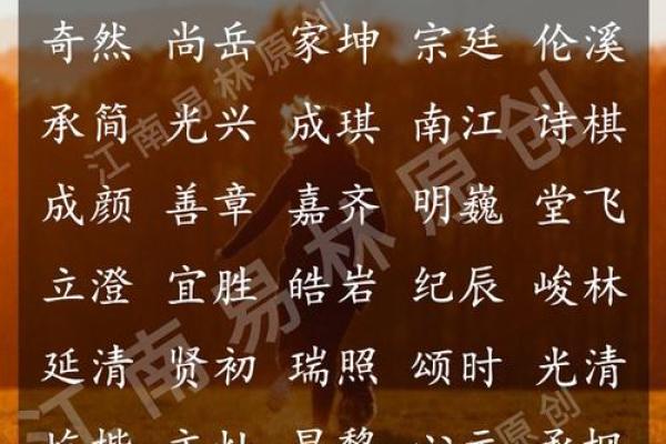 男孩名字大全：优雅又有力量的选项