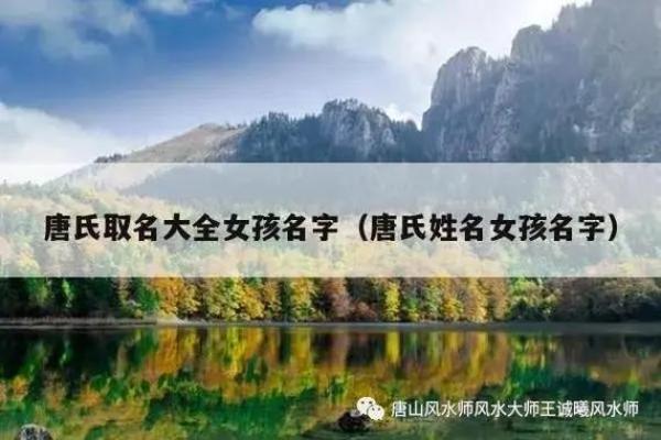 唐姓取名技巧：如何为唐氏宝宝起个有寓意的名字