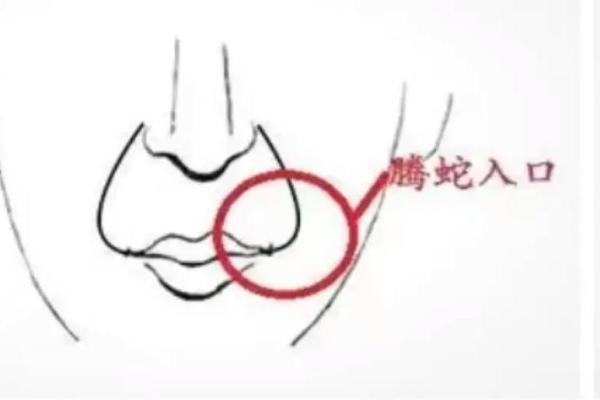 腾蛇入口的面相特点及其含义
