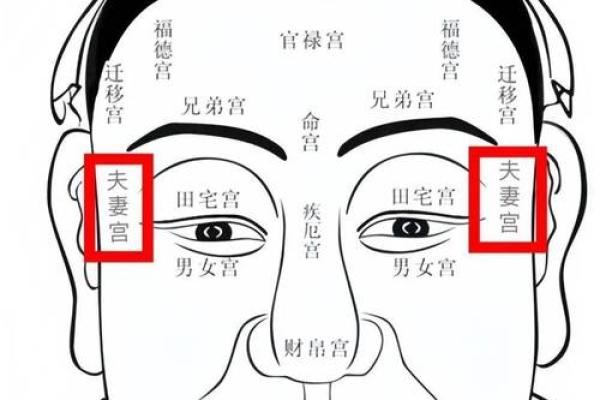 腾蛇入口的面相特点及其含义