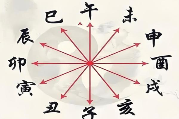 八字地支与命运解析：如何通过地支推算人生走向