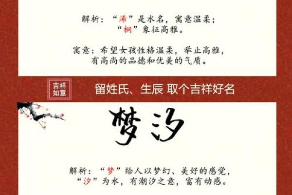 完美名字秘籍，探索独特的取名字大全