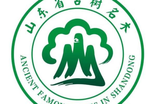 以思字为核心的名字，展现深沉内涵与文化底蕴