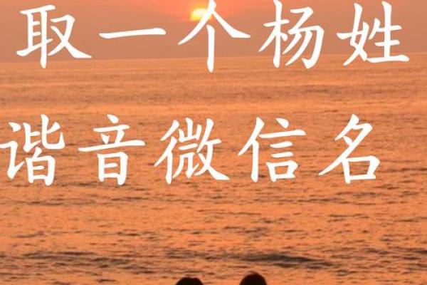取名评分解析：让你的名字更具个性和韵味