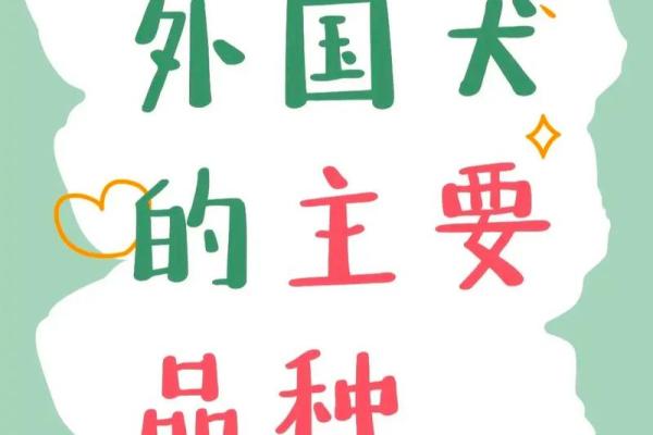 如何为你的宠物取一个既有趣又独特的名字