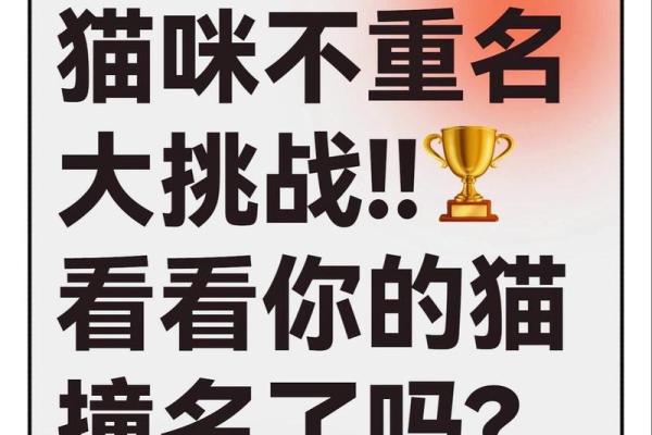 如何为你的宠物取一个既有趣又独特的名字