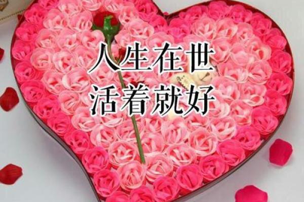 从恩字出发，打造一个温暖有爱的名字