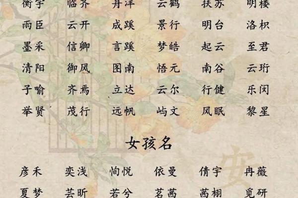 男宝宝名字趋势：从现代到经典的多种风格