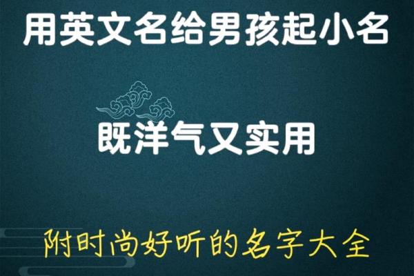 男宝宝名字趋势：从现代到经典的多种风格