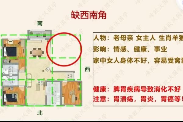 权威家居风水设计：从布局到饰品的全方位提升