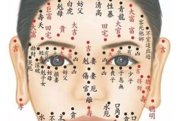 面相痣相的奥秘：女人脸上的痣位置与财富运