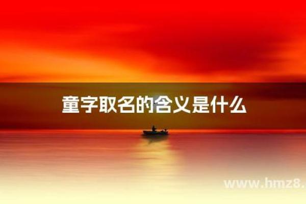 使用童字取名的深层含义与文化内涵