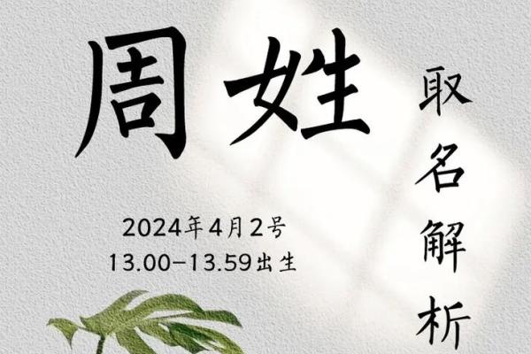 周姓宝宝取名大全，传承家族文化与现代气息