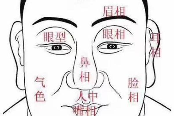 富贵面相解析：面部特征与财富运势的深度关系