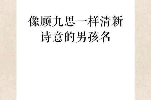 龙宝宝起名宝典：为你的龙儿选择寓意深远的名字