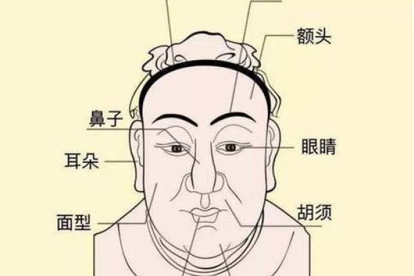 面相学中的眼睛：你的人际关系和事业方向