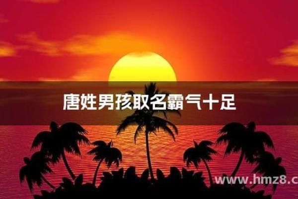 唐姓起名建议：让名字为孩子的未来加分