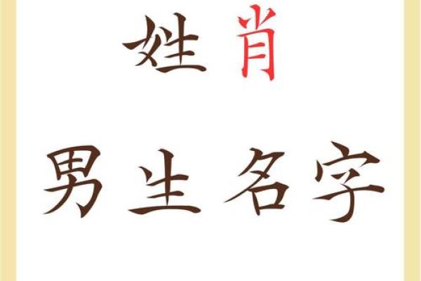 给肖姓男宝宝取名字时需注意的事项