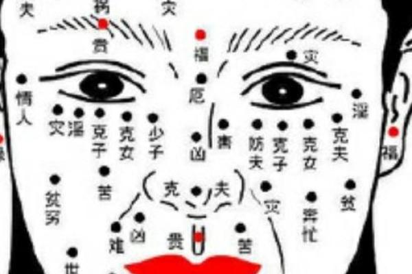 面相宫位解析：如何通过面相判断个人命运与性格特征